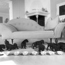 The Crown Prince and Crown Princess&#146; family dog, Milly Kakao, had nine puppies 15 June. Published 12.07.2013. Handout pictures from the Royal Court. For editorial use only &#150; not for sale. Photo: . Foto: Veronica Melå / Utenfor Allfarvei AS / the Royal Court.