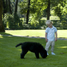 Prince Sverre Magnus with the puppy Milly Kakao. Hand out picture from The Royal Court. For editorial use only - not for sale. Picture size: 6144 x 4081 px,13,86 Mb (Photo: Veronica Melå, The Royal Court)