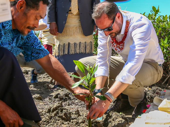 Crown Prince Haakon plants a mangrove at ‘Ahau Beach. Photo: Karen Setten / NTB scanpix