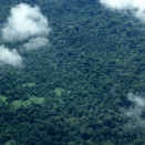 It takes upwards of an hour to fly from Boa Vista to the Yanomami village of Demini. The northern Brazilian rainforest extends beneath the airplane. Published 4 May 2013. Handout picture from the Royal Court. For editorial use only, not for sale. Photo: Rainforest Foundation Norway / ISA Brazil.