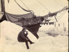 Nansen foran Fram