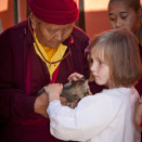 Princess Ingrid Alexandra with nuns and a kitten in Rumtek convent. Published 21.01.2011. Handout picture from The Royal Court. For editorial use only, not for sale. Photo: Kristi Marie Skrede, the Norwegian Broadcasting Corporation / The Royal Court. Image size: 2848 x 4288 px and 2,38 Mb.