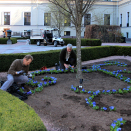 I Slottsgården plantes stemorsblomster i vakre mønster. Foto: Nina Ilefeldt, Det kongelige hoff