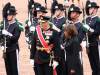Inspection of the guard