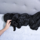 Puppies. Published 12.07.2013. Handout pictures from the Royal Court. For editorial use only &#150; not for sale. Photo: . Foto: Veronica Melå / Utenfor Allfarvei AS / the Royal Court.