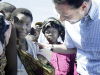 UNDP: Tanzania