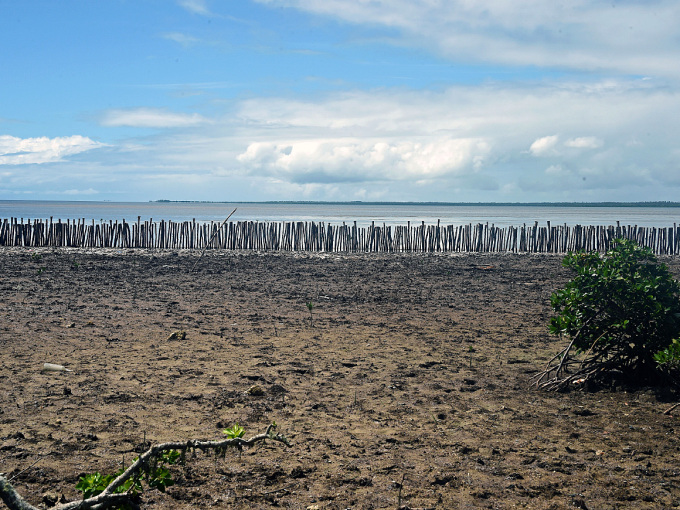 The posts mark where the sea’s edge used to be. Nowadays it advances much further up. Photo: Sven Gj. Gjeruldsen, The Royal Court
