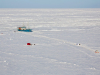 Svalbard