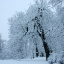 Winter park. Photo: Liv Osmundsen, The Royal Court.