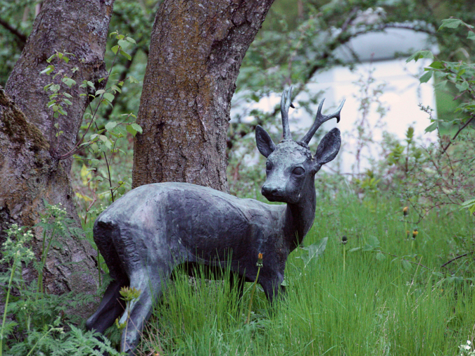 Foto: Liv Osmundsen, Det kongelige hoff