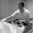 Tony Martinussen of the Royal Court prepares pieces for the exhibitions. Published 10.02.2012. Handout picture from the Royal Court. For editorial use only, not for sale. Photo: Liv Osmundsen / The Royal Court. Size: 3030 x 2400 px and 4,69 Mb.