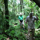 The rainforest often lives up to its name, something King Harald faces as he negotiates the forest outside Demini. Published 4 May 2013. Handout picture from the Royal Court. For editorial use only, not for sale. Photo: Rainforest Foundation Norway / ISA Brazil.