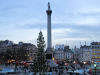 Julegran Trafalgar Square
