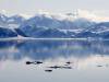 Svalbard: 80 degrees north