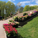 Blomsterdekor på Slottsplassen. Foto: Nina Ilefeldt, Det kongelige hoff