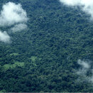 It takes upwards of an hour to fly from Boa Vista to the Yanomami village of Demini. The northern Brazilian rainforest extends beneath the airplane. (Photo: Rainforest Foundation Norway / ISA Brazil)