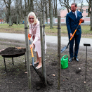 The Crown Prince and Crown Princess planted an oak tree in the park surrounding the Office of the President. Photo: Lise Åserud, NTB scanpix.