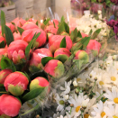 På Blomsterloftet - Slottets blomsterbinderi - er det full aktivitet. Foto: Nina Ilefeldt, Det kongelige hoff