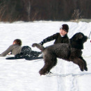 The first time, it ended with a fall (Photo: Lise Åserud / Scanpix)