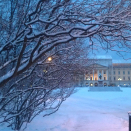 Slottet i "blåtimen".  Foto: Liv Osmundsen, Det kongelige hoff.