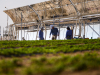 Sahara Forest Project