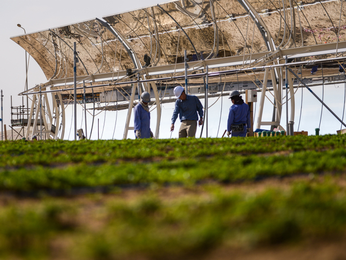 From the pilot project in Qatar. Photo: Sahara Forest Project