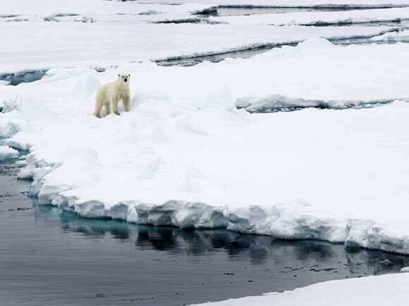 The heirs to the Scandinavian thrones took part in a polar expedition on the ice-breaker Oden – to learn about and bring attention to climate change. Photo: Veronica Melå, The Royal Court.