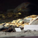 Rundeskatten (the Runde treasure) is one of the largest collections of old coins ever to be found in Europe (Photo: Stian Lysberg Solum / NTB scanpix)