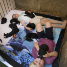 Princess Ingrid Alexandra and Prince Sverre Magnus with the puppies. Published 12.07.2013. Handout pictures from the Royal Court. For editorial use only &#150; not for sale. Photo: . Foto: Veronica Melå / Utenfor Allfarvei AS / the Royal Court.