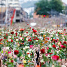25 July: 150.000 gathers around the Town Hall Square with roses in memory of the victims  (Photo: Erlend Aas / Scanpix)