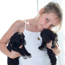 Pictures of the Crown Prince and Crown Princess' family with the nine puppies, July 2013 (Photo: Veronica Melå / Utenfor Allfarvei AS / The Royal Court)