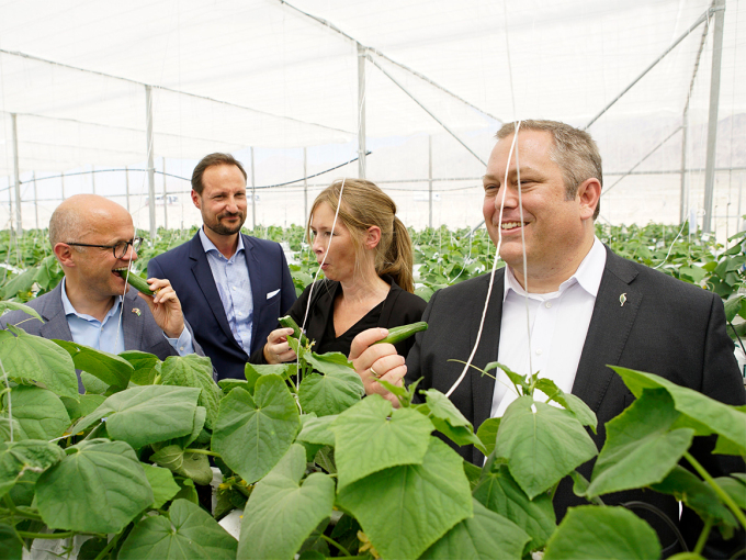 Tasting the crops. Photo: Anders Nybø / Sahara Forest Project 