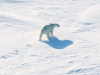 Svalbard