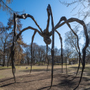 Installation view of Louise Bourgeois's Maman (1999) at the Palace Park, Oslo, Norway, 2023. Photo: Øyvind Möller Bakken © The Easton Foundation/Licensed by BONO, NO and VAGA at Artists Rights Society (ARS), NY.