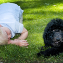 Prince Sverre Magnus with the puppy Milly Kakao. Hand out picture from The Royal Court. For editorial use only - not for sale. Picture size: 6144 x 4081 px, 11,47 Mb (Photo: Veronica Melå, The Royal Court)