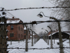 Auschwitz Birkenau