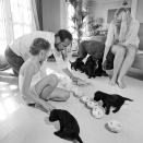 With the puppies. Published 12.07.2013. Handout pictures from the Royal Court. For editorial use only &#150; not for sale. Photo: . Foto: Veronica Melå / Utenfor Allfarvei AS / the Royal Court.