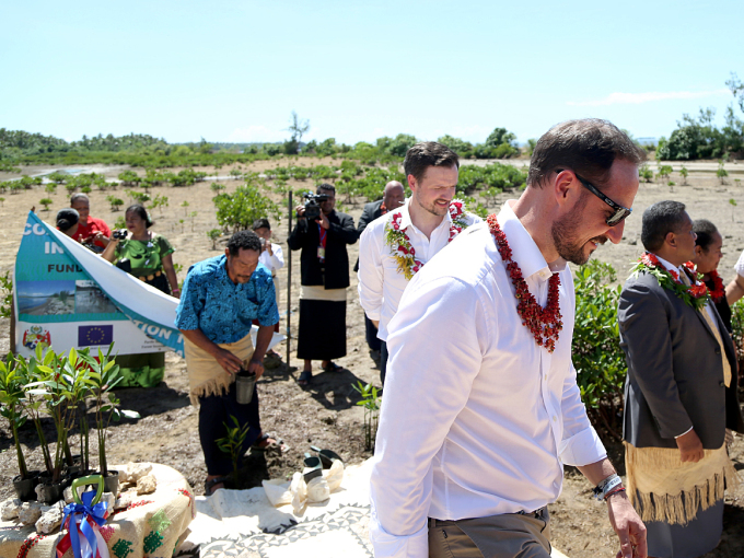At ‘Ahau Beach, local residents plant mangroves to bind the soil and make the coastline more resilient. Photo: Karen Setten / NTB scanpix