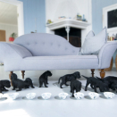 The Crown Prince and Crown Princess’ family dog, Milly Kakao, had nine puppies 15 June. These pictures were taken the second week of July. (Photo: Veronica Melå / Utenfor Allfarvei AS / The Royal Court)