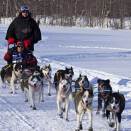 13 March: Crown Prince Haakon drives a dog sleigh with Lars Monsen as passager marking the start of Finnmarksløpet (Photo: Kim Kr. Nordli / Scanpix)
